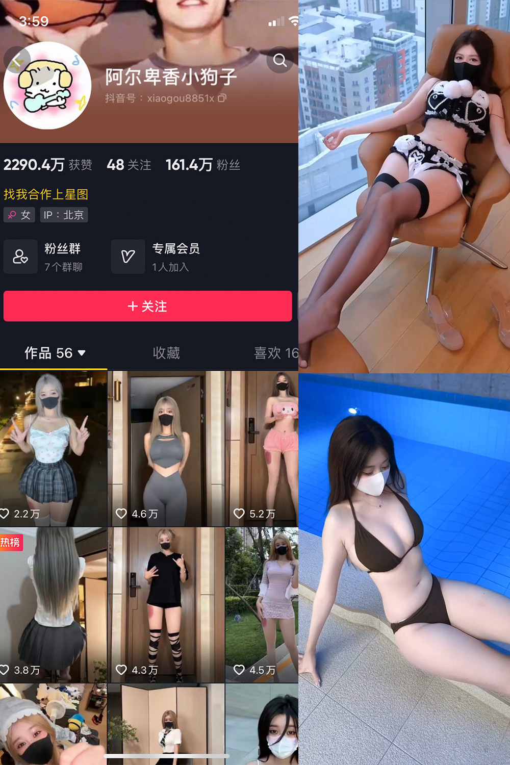 阿尔卑香小狗子 微密圈照片资源 阿尔卑香小狗子 微密圈照片资源
